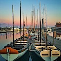Marina Pink Sunset 