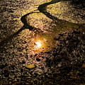 Tide Flat Abstract